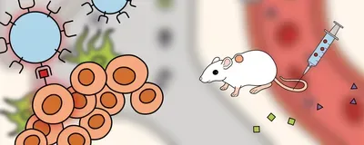 probiotic infographic